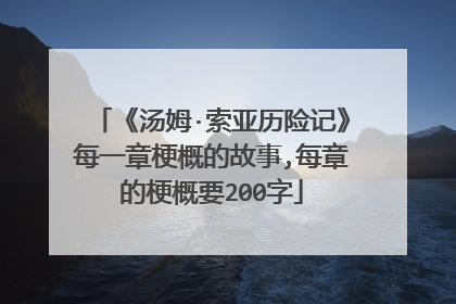 《汤姆·索亚历险记》每一章梗概的故事,每章的梗概要200字