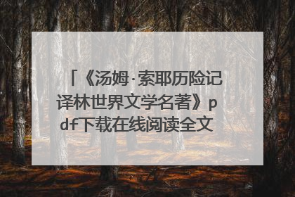 《汤姆·索耶历险记译林世界文学名著》pdf下载在线阅读全文,求百度网盘云资源