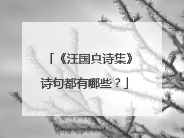 《汪国真诗集》诗句都有哪些？