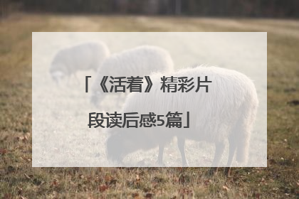 《活着》精彩片段读后感5篇