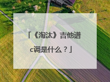 《淘汰》吉他谱c调是什么?