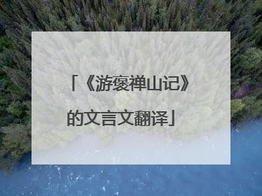 《游褒禅山记》的文言文翻译