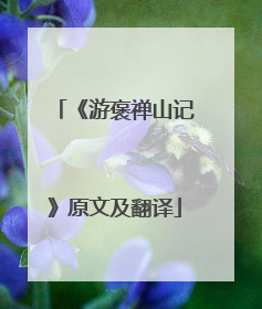 《游褒禅山记》原文及翻译