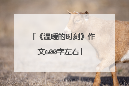 《温暖的时刻》作文600字左右