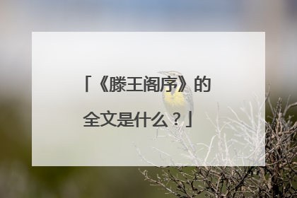 《滕王阁序》的全文是什么？