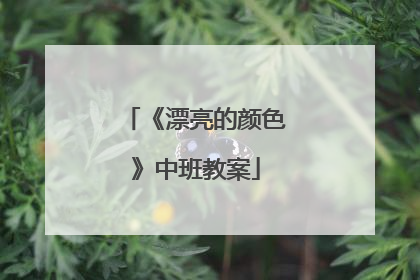 《漂亮的颜色》中班教案