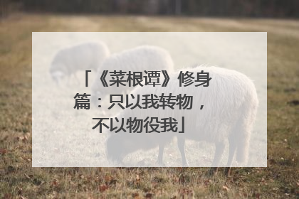 《菜根谭》修身篇:只以我转物,不以物役我
