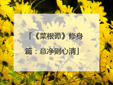 《菜根谭》修身篇:意净则心清