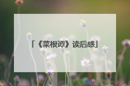 《菜根谭》读后感