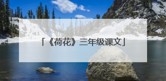 《荷花》三年级课文