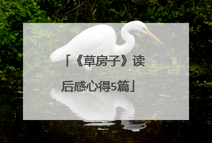 《草房子》读后感心得5篇