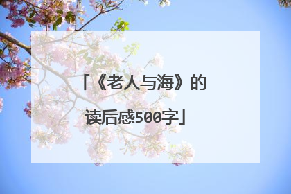 《老人与海》的读后感500字