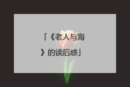 《老人与海》的读后感