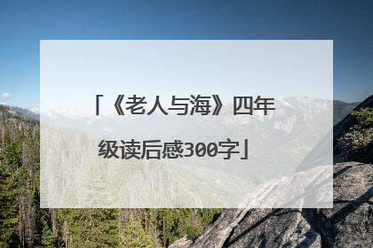 《老人与海》四年级读后感300字