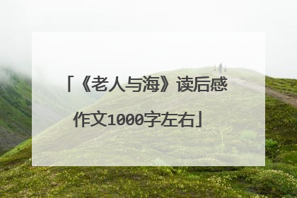 《老人与海》读后感作文1000字左右