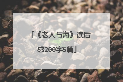 《老人与海》读后感200字5篇