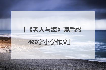 《老人与海》读后感400字小学作文