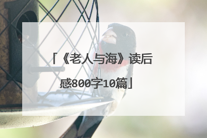 《老人与海》读后感800字10篇