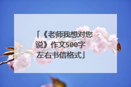 《老师我想对您说》作文500字左右书信格式