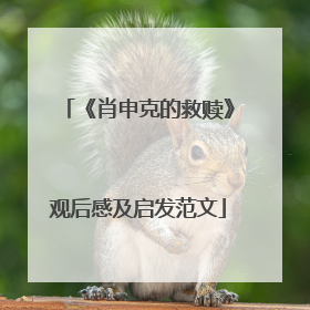 《肖申克的救赎》观后感及启发范文