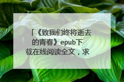 《致我们终将逝去的青春》epub下载在线阅读全文,求百度网盘云资源