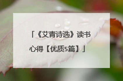 《艾青诗选》读书心得【优质5篇】