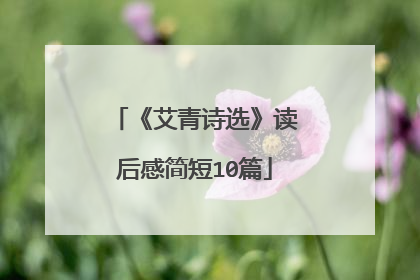 《艾青诗选》读后感简短10篇