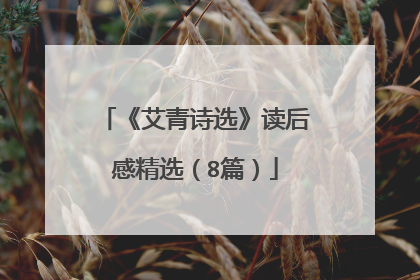 《艾青诗选》读后感精选（8篇）