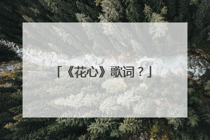 《花心》歌词?