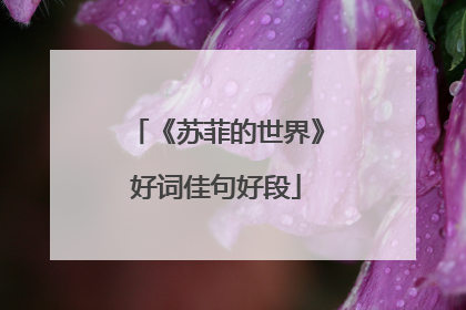 《苏菲的世界》好词佳句好段