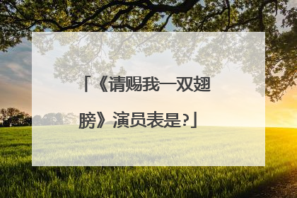 《请赐我一双翅膀》演员表是?