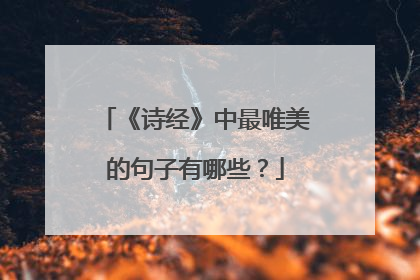 《诗经》中最唯美的句子有哪些？