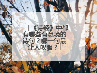 《诗经》中都有哪些有意境的诗句？哪一句最让人叹服？