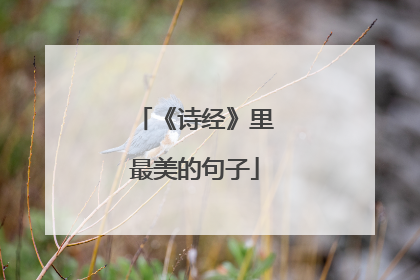 《诗经》里最美的句子