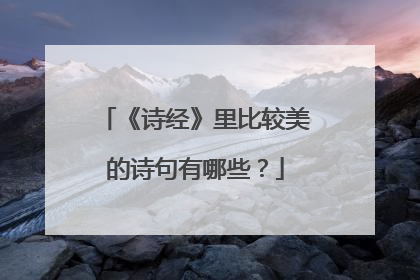 《诗经》里比较美的诗句有哪些？