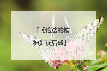 《论法的精神》读后感