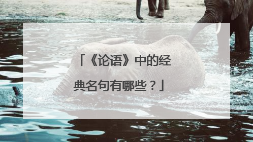 《论语》中的经典名句有哪些？