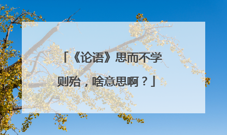 《论语》思而不学则殆,啥意思啊?