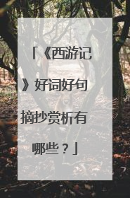 《西游记》好词好句摘抄赏析有哪些？