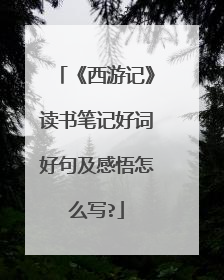《西游记》读书笔记好词好句及感悟怎么写?