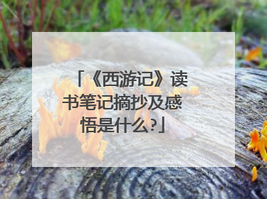 《西游记》读书笔记摘抄及感悟是什么?
