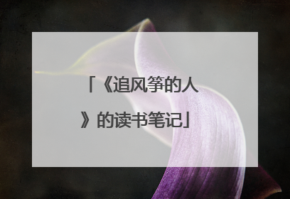 《追风筝的人》的读书笔记