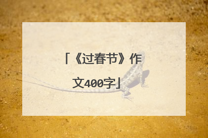 《过春节》作文400字