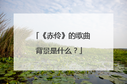 《赤伶》的歌曲背景是什么？