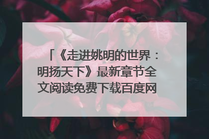 《走进姚明的世界：明扬天下》最新章节全文阅读免费下载百度网盘资源，谁有？