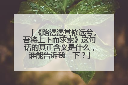 《路漫漫其修远兮,吾将上下而求索》这句话的真正含义是什么,谁能告诉我一下?
