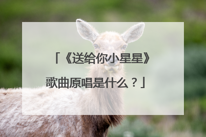 《送给你小星星》歌曲原唱是什么？