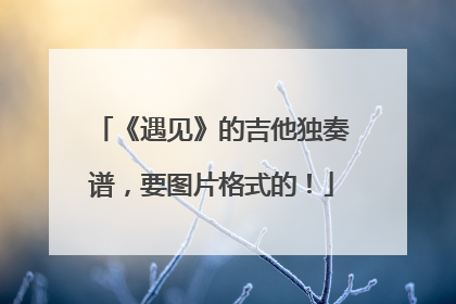 《遇见》的吉他独奏谱，要图片格式的！