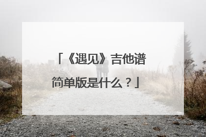 《遇见》吉他谱简单版是什么？