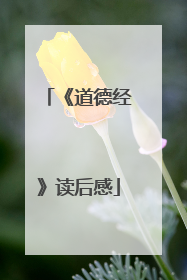 《道德经》读后感